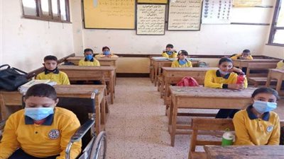 حقيقة تعطيل الدراسة في الإسكندرية والمحافظات بسبب اضطراب سوء حالة الطقس