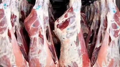 استقرار أسعار اللحوم الحمراء في الأسواق اليوم الجمعة 7 مارس 2025