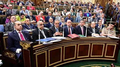 وكيل اللجنة التشريعية بمجلس الشيوخ يكشف صلاحيات الهيئة الوطنية للانتخابات والتعديلات المنتظرة