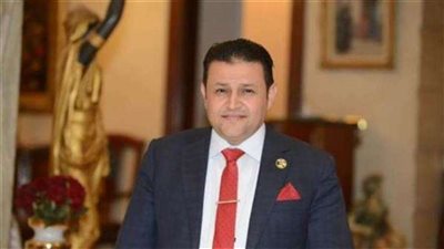 برلماني يدين انتهاك إسرائيل لوقف إطلاق النار ويطالب بتحرك دولي