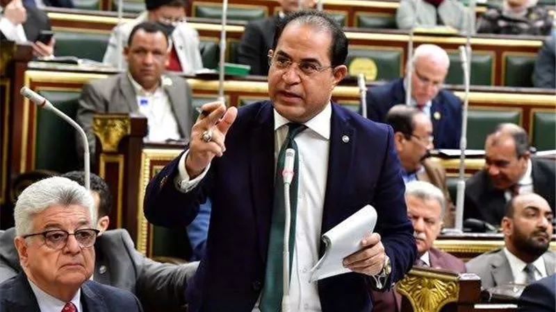 وهدان: القمة العربية تعكس دور مصر المحوري في قيادة العمل العربي المشترك