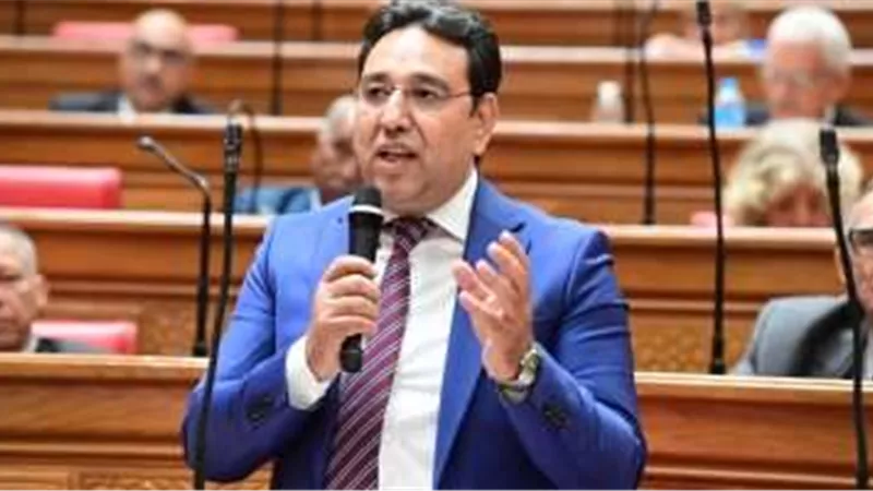 الدكتور أيمن محسب: مصر تدعم القضية الفلسطينية عبر مشاريع إعمار غزة