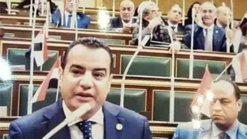 مشيدًا بالخطة المصرية.. برلماني: العرب أكدوا دعمهم لخطة مصر لإعادة إعمار غزة