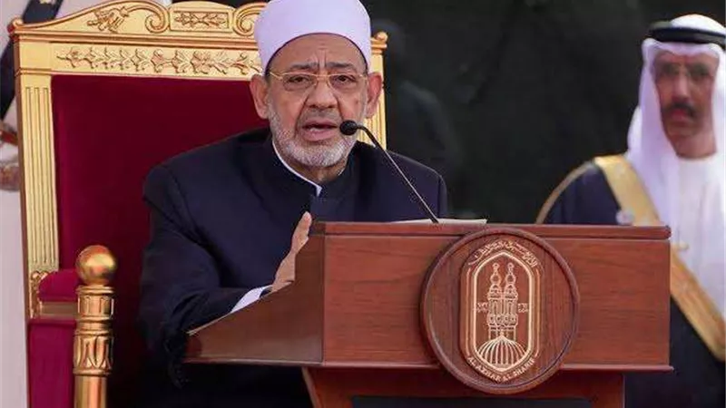 شيخ الأزهر : صمود الفلسطينيين أمام العدوان معجزة إلهية