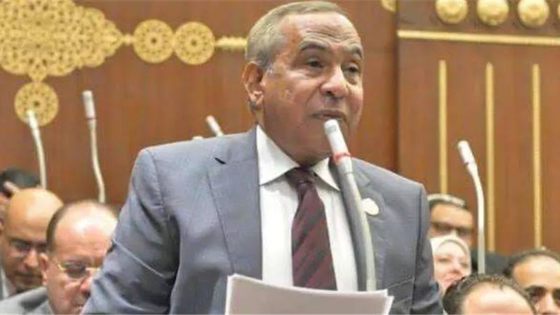 خاص| رسلان: مصر هي المدافع الأول عن الأراضي العربية عبر التاريخ.. والقمة العربية أكدت ذلك