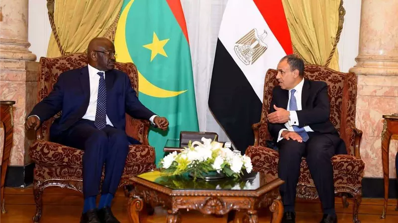 وزير الخارجية يبحث مع نظيريه الموريتاني والبحريني تطورات الأوضاع في غزة