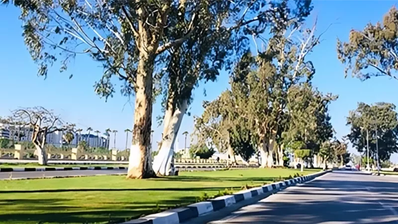 مصر تواصل استقبال دفء الربيع.. ارتفاع تدريجي في درجات الحرارة اليوم الثلاثاء 11 مارس 2025