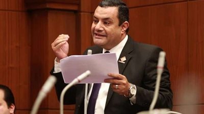 النائب أكمل نجاتي: الدولة المصرية شهدت تقدمًا كبيرًا في ملف تمكين المرأة