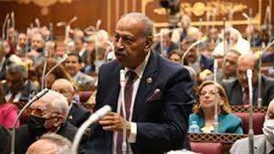 برلماني: مصر استطاعت تغيير الموقف الأمريكي بشأن تهجير الفلسطينيين