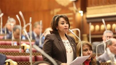 النائبة رشا إسحق: الخطة المصرية حاسمة لإيقاف التهجير القسري لسكان غزة