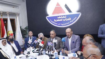 تيسير مطر: الخطة المصرية لغزة رؤية متكاملة لإحلال السلام ورفض التهجير