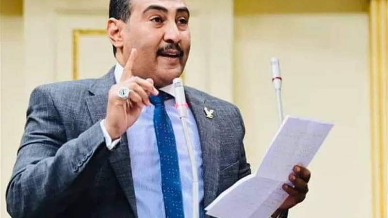 برلماني: مصر تقدم خطة شاملة لإعادة إعمار غزة دون تهجير