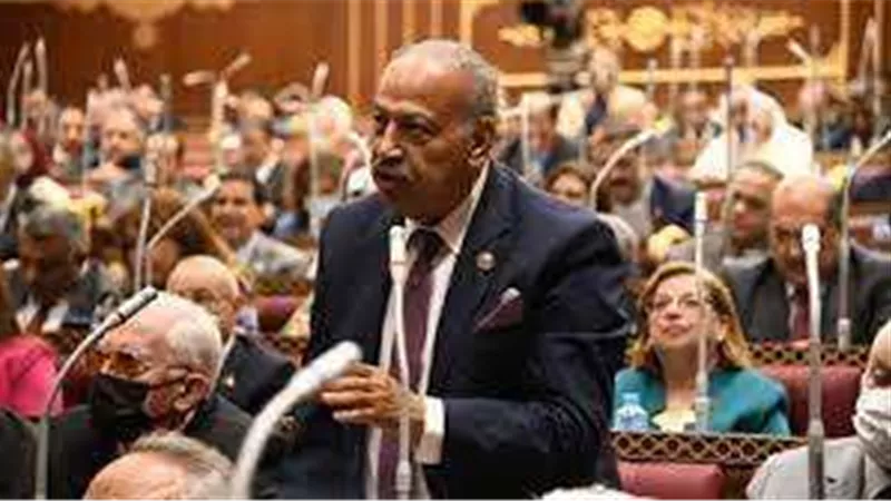 برلماني: مصر استطاعت تغيير الموقف الأمريكي بشأن تهجير الفلسطينيين
