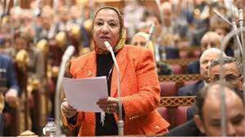 برلمانية: الدولة حريصة على توفير  الحماية الاجتماعية لذوي الهمم