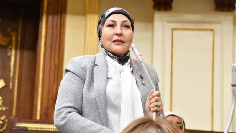 برلمانية: إسرائيل في مأزق.. وقررت الهروب منه باستئناف المجازر ضد الشعب الفلسطيني