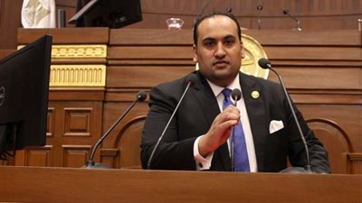 النائب محمد الرشيدي: مصر ترفض أي محاولات للمساس بالحقوق التاريخية للشعب الفلسطيني