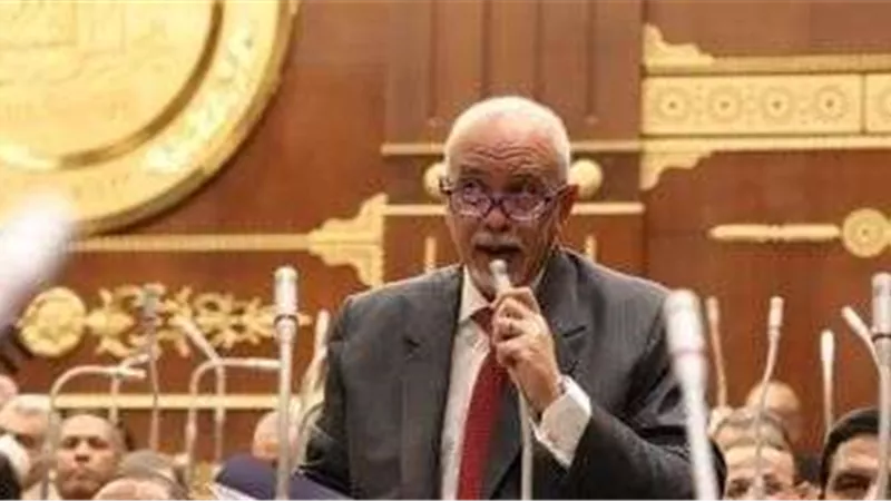 برلماني: مصر تواجه حملة مكثفة من الشائعات بشأن دورها تجاه القضية الفلسطينية