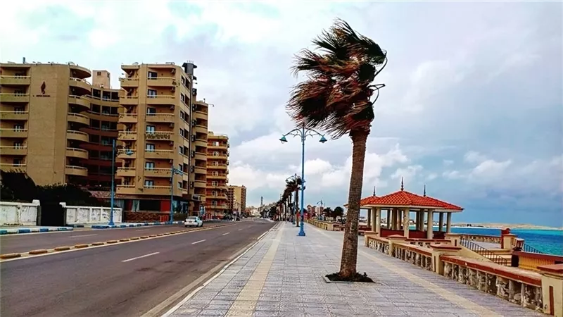الأرصاد تكشف حالة الطقس اليوم الأحد وتُحذّر السائقين من الشبورة