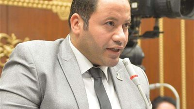 النائب مصطفى سالمان: القمة الثلاثية تعكس أهمية مصر  في المنطقة