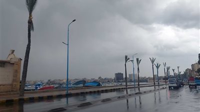 الأرصاد الجوية تحذر من رياح خماسينية تضرب الإسكندرية غدا