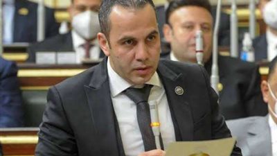 برلماني: الشباب المصري يلعب الدور المحوري في دعم القضية الفلسطينية