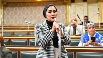 خاص برلمانية: زيارة ماكرون لمصر تحمل دلالات كثيرة وحظيت باهتمام غير مسبوق من الشعب المصري