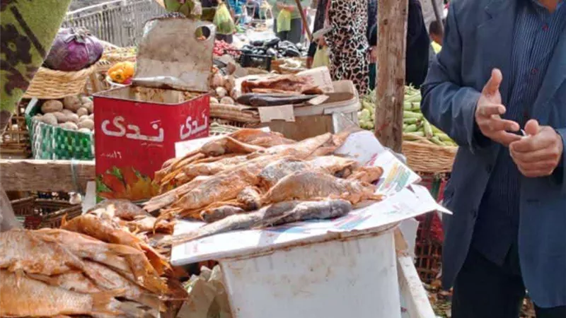 صحة المنيا: حملات رقابية مكثفة على 389 منشأة غذائية