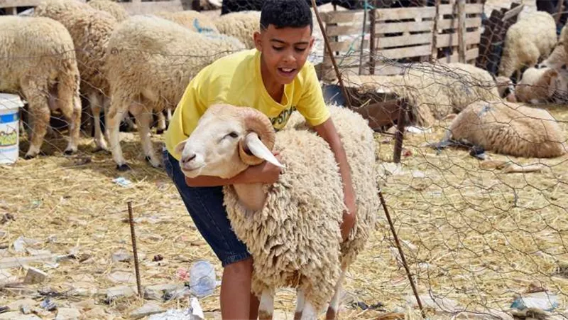 موعد العيد الكبير 2025 وفقا للحاسبات الفلكية.. وعدد أيام الإجازة