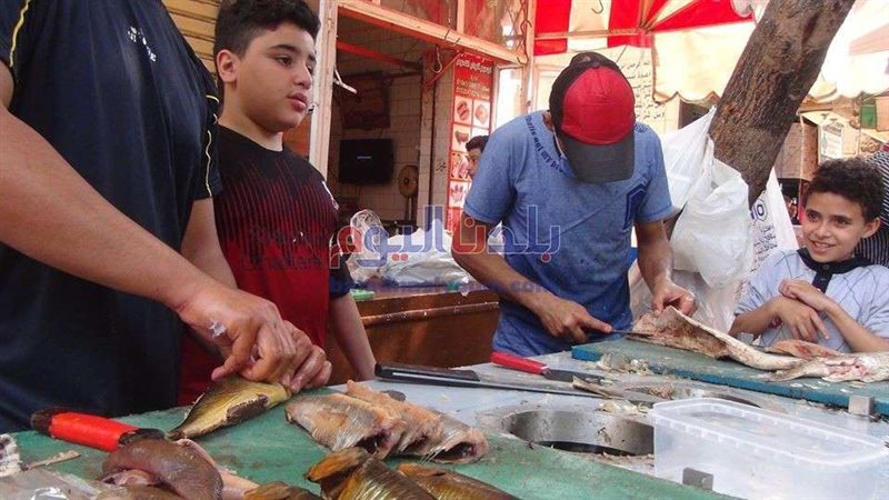 أسعار الفسيخ والرنجة