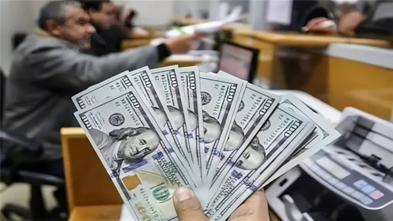 اعرف بكام.. سعر الدولار اليوم الثلاثاء في مصر يسجل استقرار نسبي