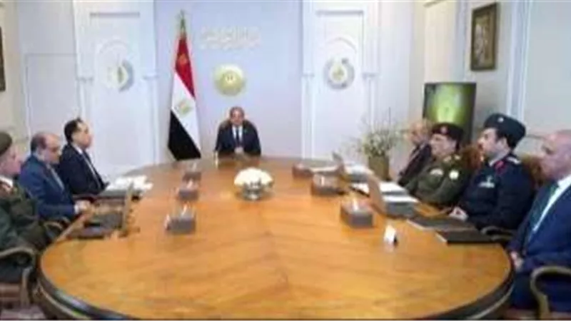 السيسى يؤكد ضرورة تسريع استكمال منظومة التغذية الكهربائية لـ