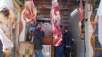 محافظ كفر الشيخ يعلن عن ضبط 358.5 كيلو من اللحوم الفاسدة في حملة تموينية اليوم الأربعاء