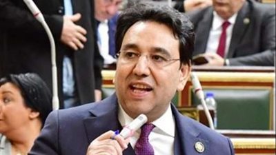 برلماني يكشف عوائد زيارة الرئيس الإندونيسي لمصر
