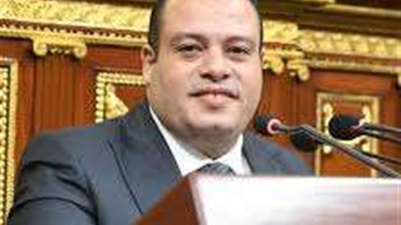 النائب أسامة بسيوني