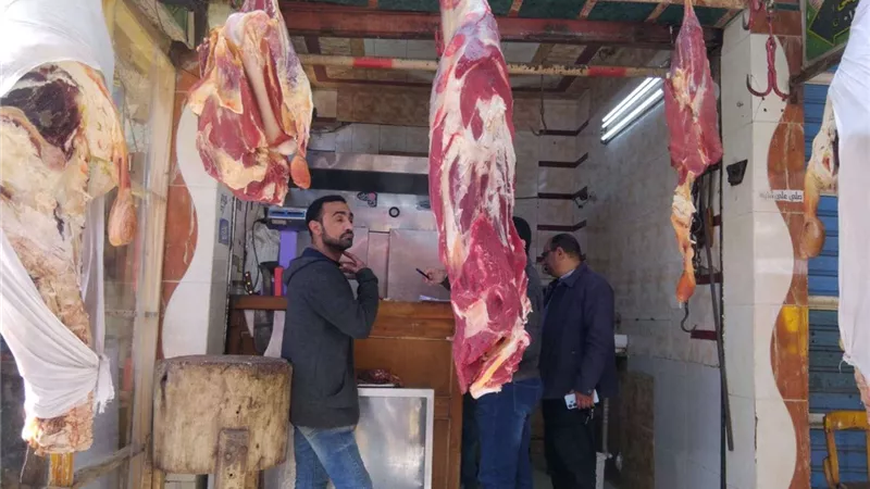 محافظ كفر الشيخ يعلن عن ضبط 358.5 كيلو من اللحوم الفاسدة في حملة تموينية اليوم الأربعاء