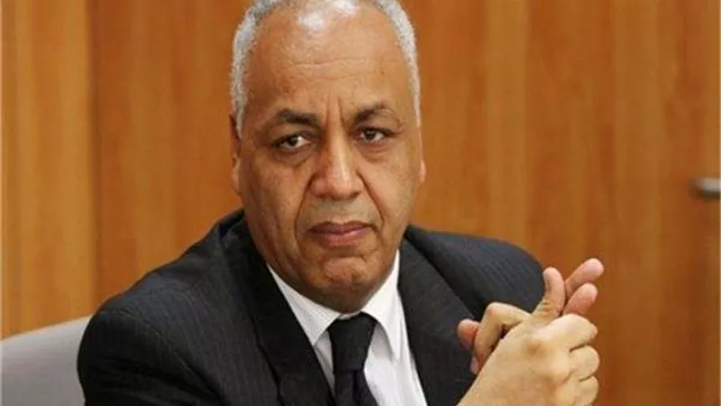 بكري: المهمة العاجلة في غزة تكمن في وقف إطلاق النار وإدخال المساعدات الإنسانية