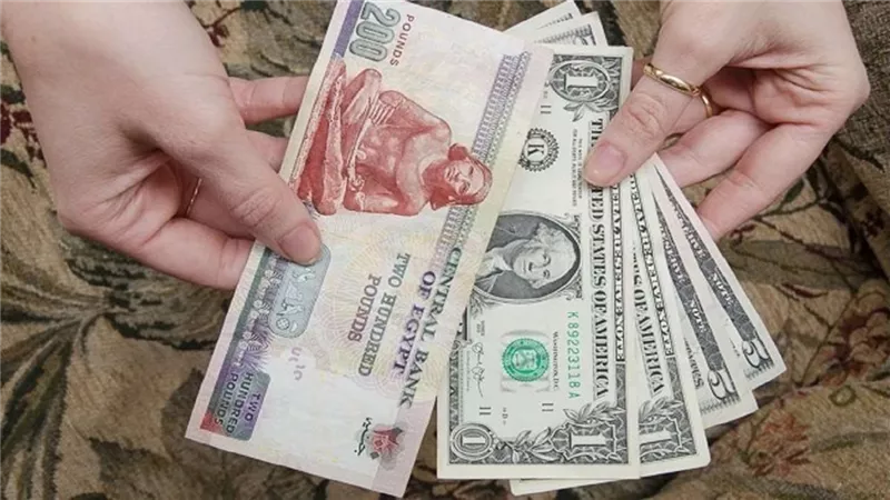 سعر الدولار أمام الجنيه المصري اليوم السبت 12 أبريل 2025
