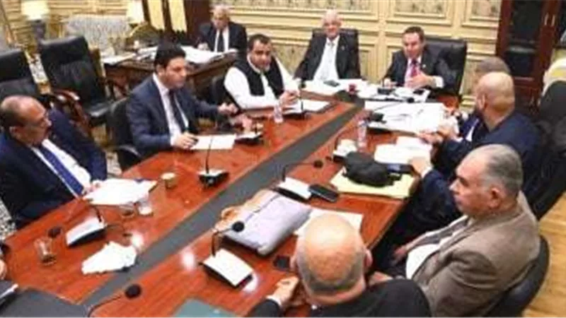 وزراء الزراعة والمالية وقطاع الأعمال يلتقون لمناقشة تدهور منظومة القطن