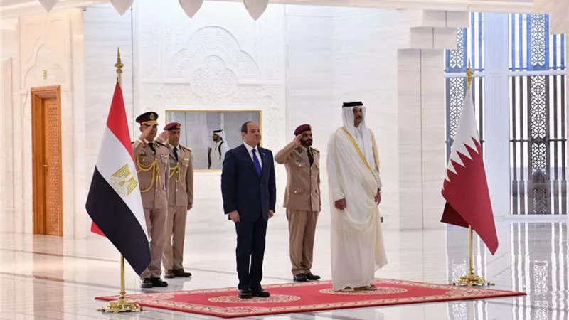 السيسى يؤكد على أهمية زيادة حجم التبادل التجارى وتعزيز الاستثمارات القطرية فى مصر