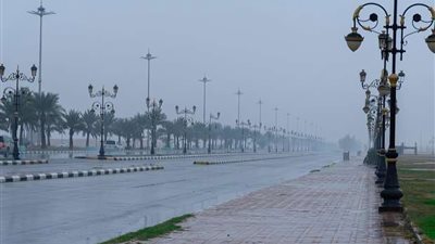 حالة الطقس اليوم الخميس 17 ابريل 2025.. ارتفاع تدريجي في الحرارة وتحذيرات من رياح وشبورة