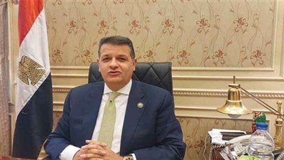 برلماني: مصر تؤكد التزامها الثابت بالقضية الفلسطينية خلال استعراض جنيف لحقوق الإنسان