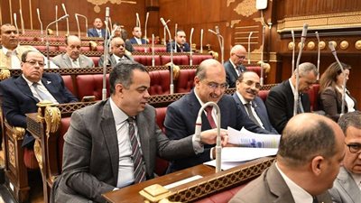 تفاصيل الجلسة العامة لمجلس الشيوخ اليوم