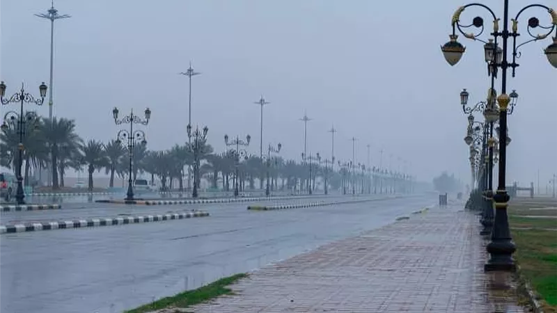حالة الطقس اليوم الخميس 17 ابريل 2025.. ارتفاع تدريجي في الحرارة وتحذيرات من رياح وشبورة