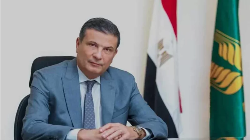 للمرة الأولى منذ 15 عاما.. خيول من خارج مصر تشارك في بطولات الجمال العربي