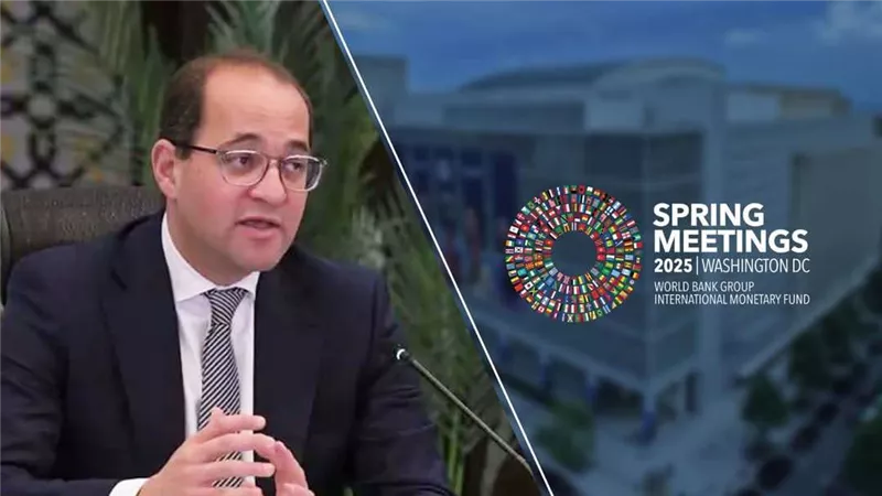 وزير المالية في واشنطن: الاقتصاد المصري على طريق التحسن المستدام