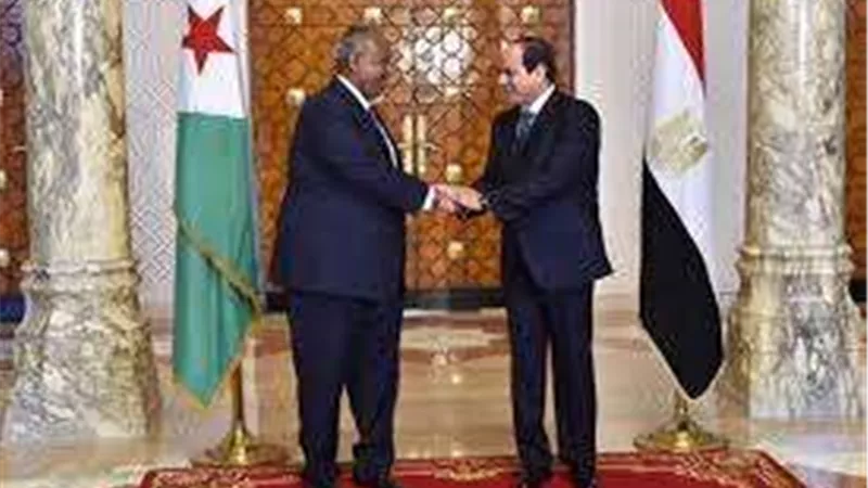 الرئيس السيسي: تأسيس مجلس الأعمال المصرى الجيبوتي وتدشين بنك مصر - جيبوتي