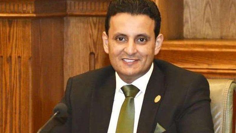 النائب أحمد سمير
