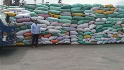 توريد 28394 طنًا و786 كيلو من القمح في مواقع وشون كفر الشيخ حتى الآن