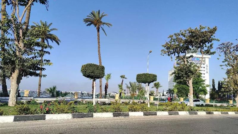 حالة الطقس اليوم الأحد.. أجواء دافئة نهارًا وشبورة مائية مع ساعات الصباح الأولى