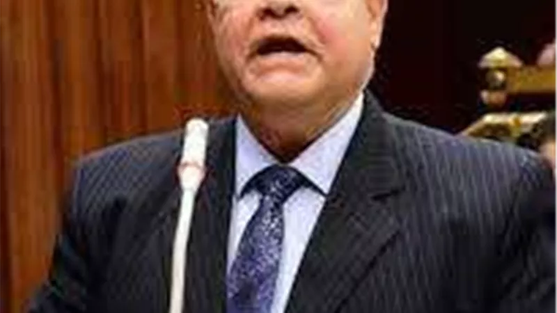 خاص|الشهابي: كلمة السيسي مع الرئيس الجيبوتي تعكس عمق العلاقات وتؤكد ثوابت مصر تجاه فلسطين